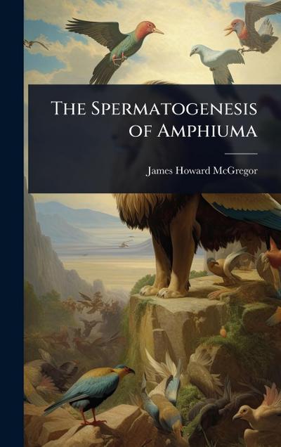 The Spermatogenesis of Amphiuma