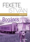Bogáncs