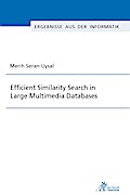 Efficient Similarity Search in Large Multimedia Databases (Ergebnisse aus der Informatik)