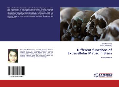 Different functions of Extracellular Matrix in Brain