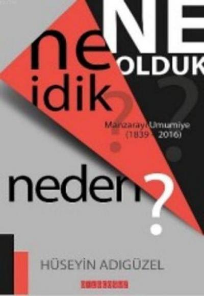 Ne Idik Ne Olduk Neden