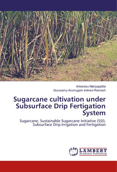 Sugarcane cultivation under Subsurface Drip Fertigation System