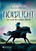 Nordlicht 1