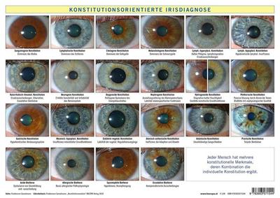 Konstitutionsorientierte Irisdiagnose, Tafel