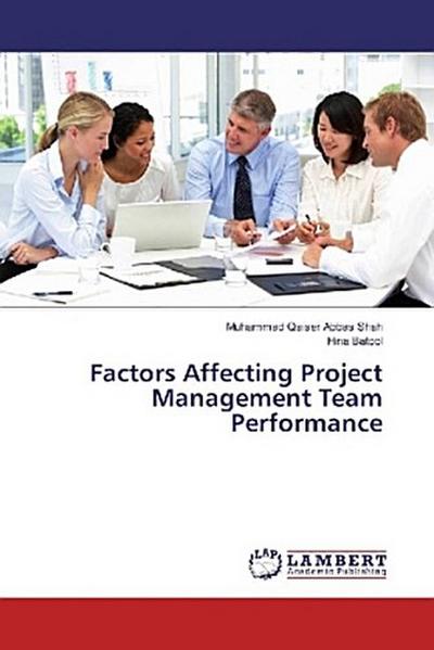 Factors Affecting Project Management Team Performance
