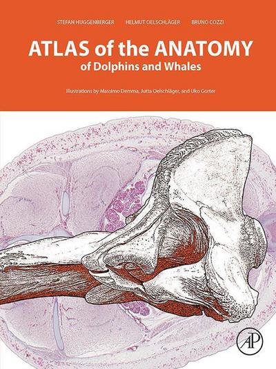 Atlas of the Anatomy of Dolphins and Whales