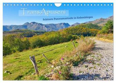TransApuseni - Schönste Panoramastraße in Siebenbürgen (Wandkalender 2026 DIN A4 quer), CALVENDO Monatskalender