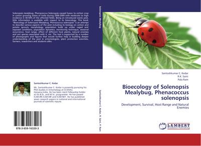 Bioecology of Solenopsis Mealybug, Phenacoccus solenopsis