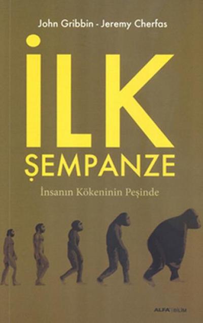 Ilk Sempanze