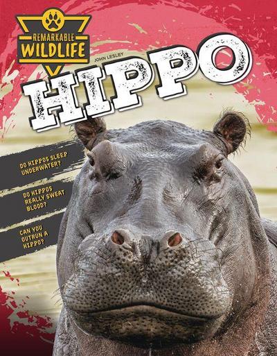 Hippo