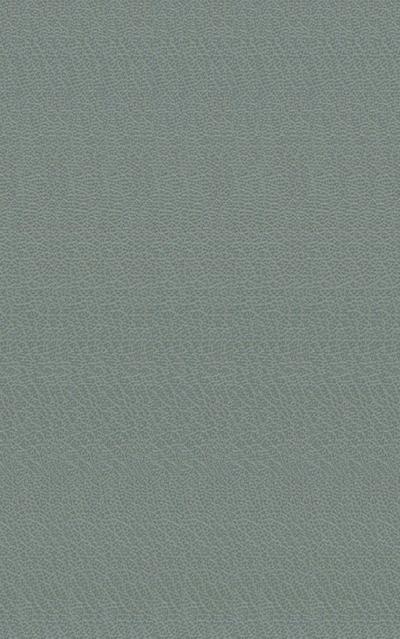 Amadis (Newe Historia Vom Amadis auss Franckreich...)