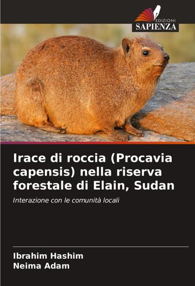 Irace di roccia (Procavia capensis) nella riserva forestale di Elain, Sudan