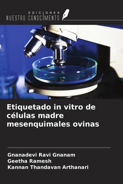 Etiquetado in vitro de células madre mesenquimales ovinas