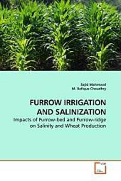 FURROW IRRIGATION AND SALINIZATION