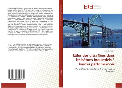 Rôles des ultrafines dans les bétons industriels à hautes performances