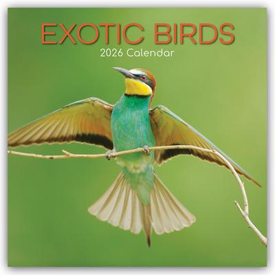 Exotic Birds - Exotische Vögel 2026 - 16-Monatskalender