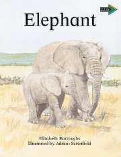 The Lion and the Mouse South African Edition