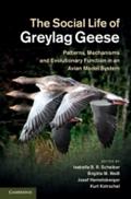 Social Life of Greylag Geese