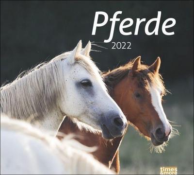 Pferde 2022