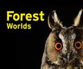 Forest World     /englisch