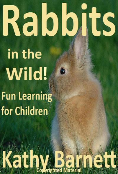 Rabbits  in the Wild!