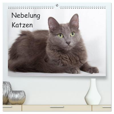 Nebelung Katzen (hochwertiger Premium Wandkalender 2024 DIN A2 quer), Kunstdruck in Hochglanz