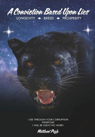 A Conviction Based Upon Lies