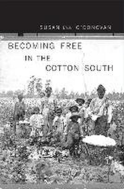 Becoming Free in the Cotton South