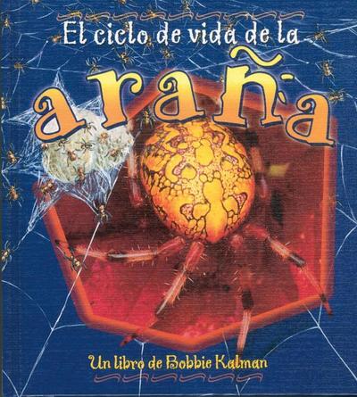 El Ciclo de Vida de la Araña (the Life Cycle of a Spider)
