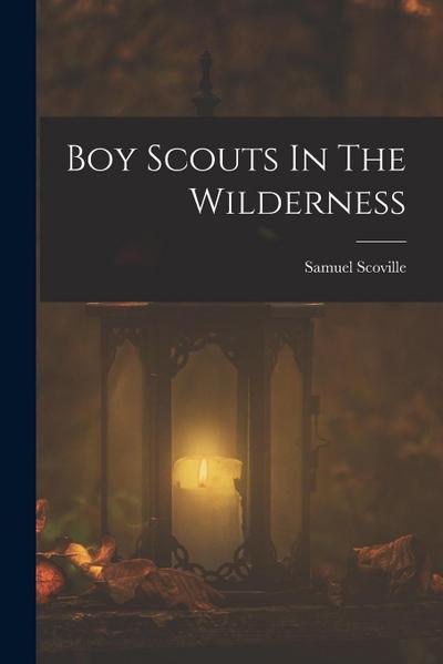 Boy Scouts In The Wilderness