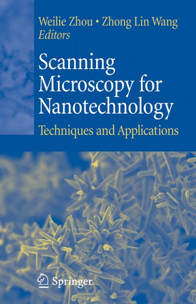Scanning Microscopy for Nanotechnology