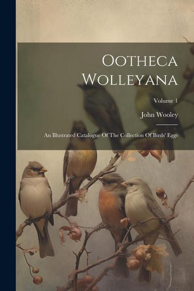 Ootheca Wolleyana