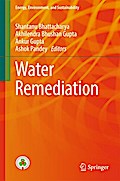 Water Remediation
