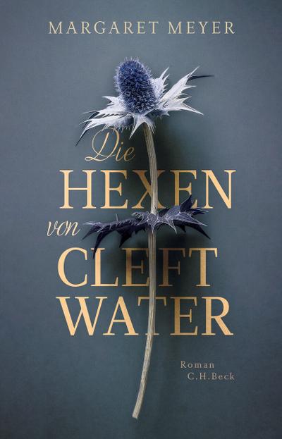 Die Hexen von Cleftwater: Roman