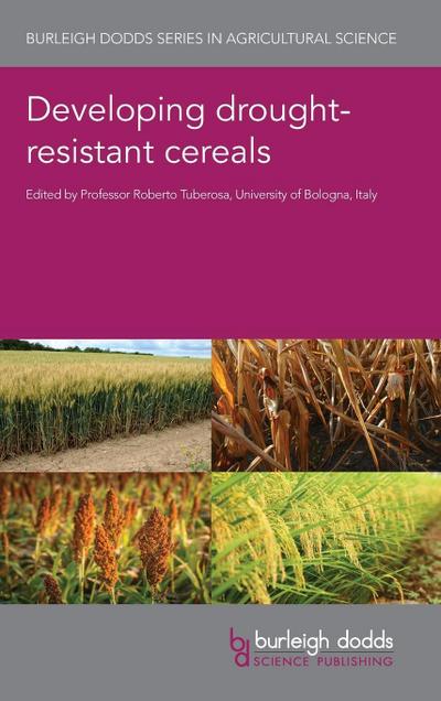 Developing drought-resistant cereals