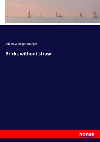 Bricks without straw - Albion Winegar Tourgée