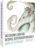Das geheime Leben von Oktopus, Seepferdchen und Qualle