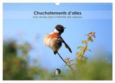 Chuchotements d’ailes - Une année dans l’intimité des oiseaux (Calendrier mural 2026 DIN A3 vertical), CALVENDO calendrier mensuel