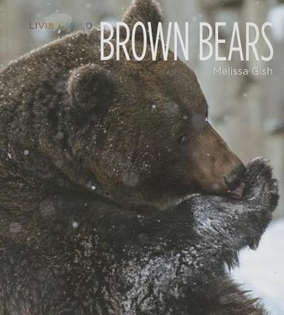 Brown Bears