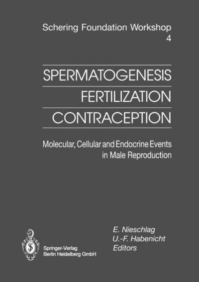 Spermatogenesis Fertilization Contraception