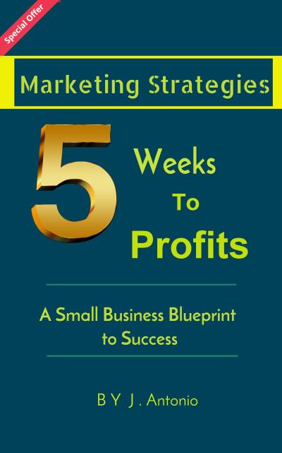 Marketing Strategies Five Weeks To Profits: A Small Business Blueprint to Success