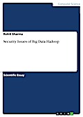 Security Issues of Big Data Hadoop