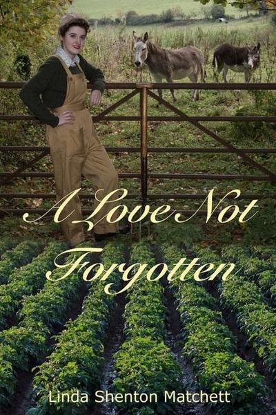 A Love Not Forgotten