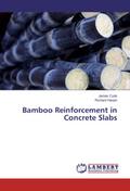 Bamboo Reinforcement in Concrete Slabs