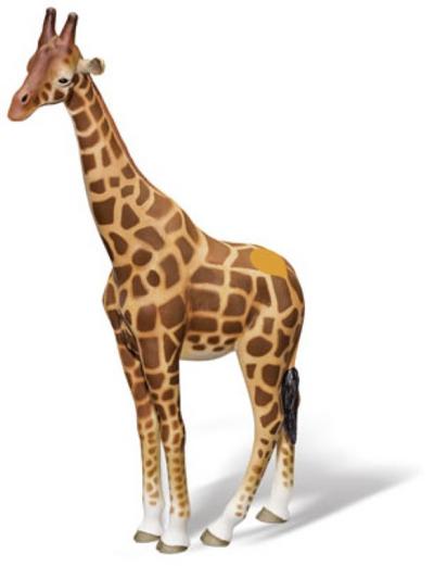 tiptoi® Giraffe