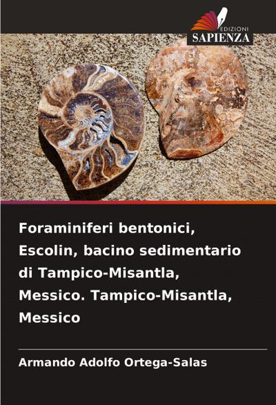 Foraminiferi bentonici, Escolin, bacino sedimentario di Tampico-Misantla, Messico. Tampico-Misantla, Messico
