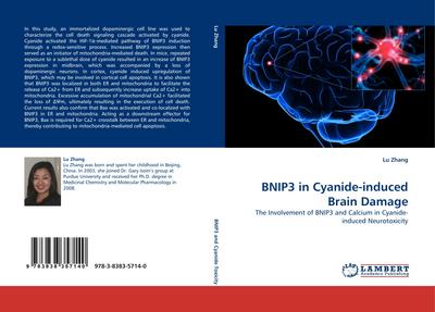 BNIP3 in Cyanide-induced Brain Damage