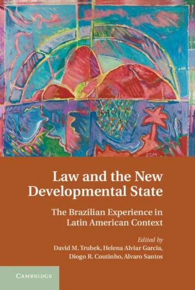 Law and the New Developmental State