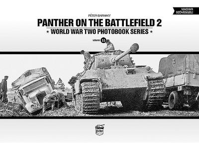 Panther on the Battlefield