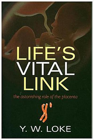 Life’s Vital Link